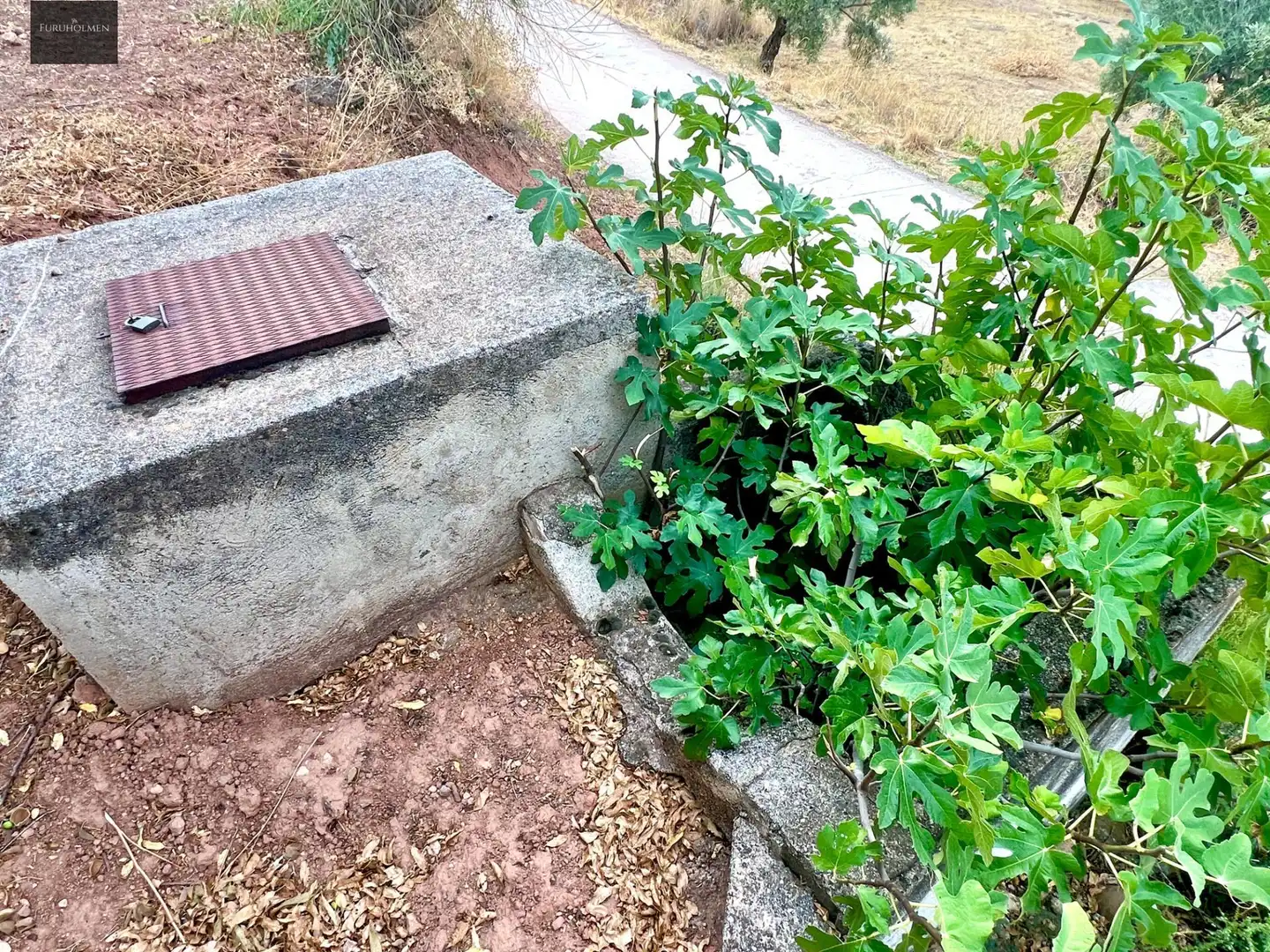 Rustikales Grundstück zum Verkauf in Nívar, imagen 24