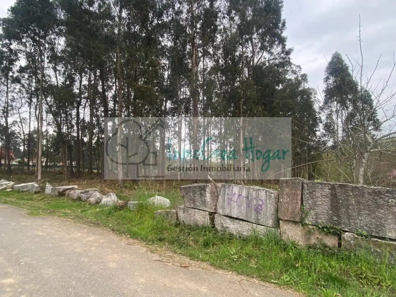 Lands and plots for sale in Salceda de Caselas