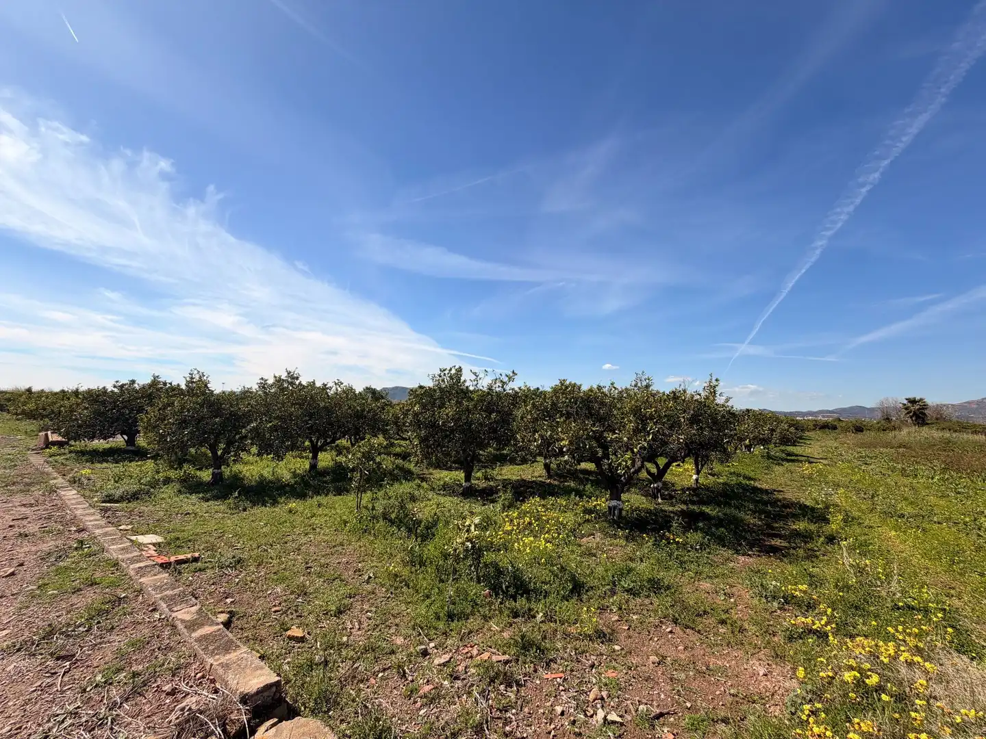 Rural land for sale in Almenara, imagen 17