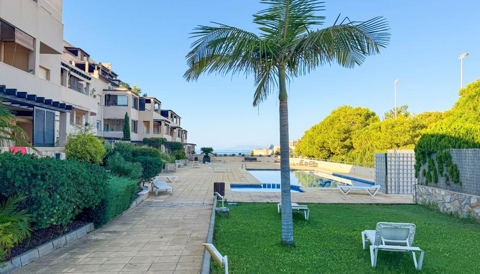 Photo 1 of Flat for sale in Calabardina, Murcia