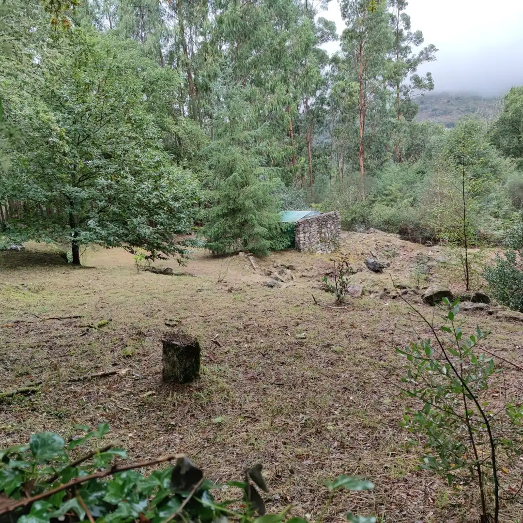 Land for sale in Cotobade