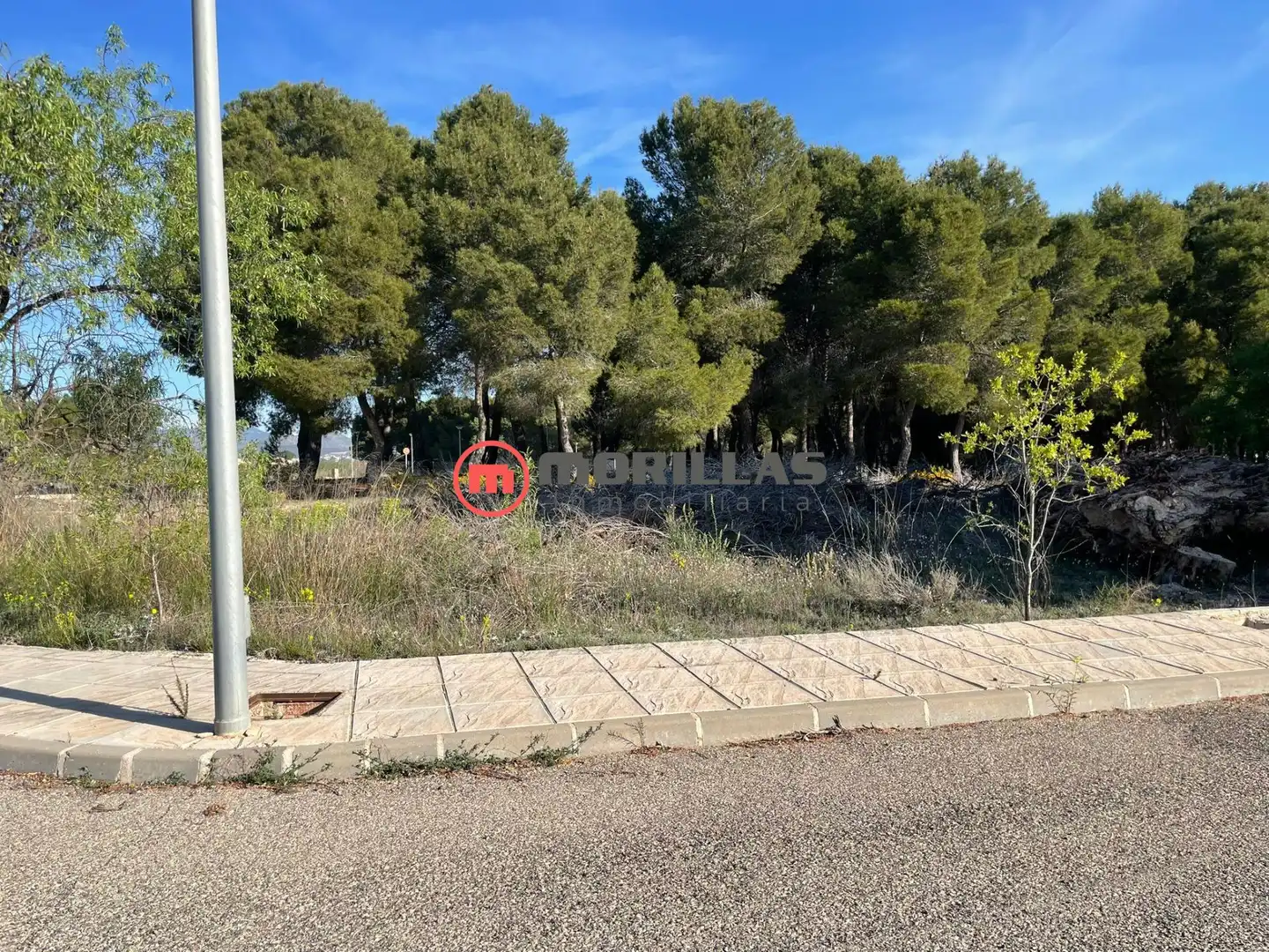 Terreni e lotti in vendita a Lugar (BARR) GRANADA 0, imagen 22