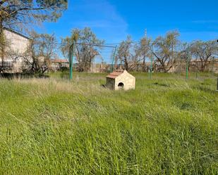 Casa o xalet en venda en Trijueque amb Jardí privat, Terrassa i Traster