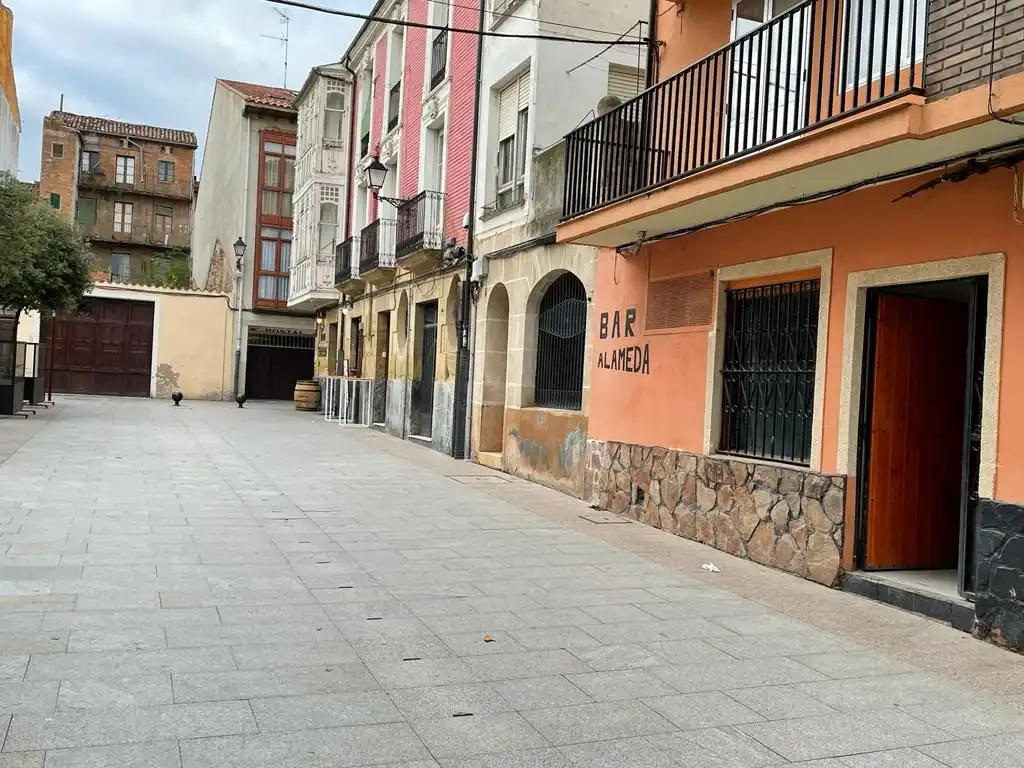 Local comercial en venda a Calle la Alameda 3