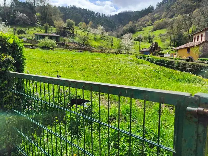 Terreno residencial en venta en Aldea Ferreras 24, imagen 12