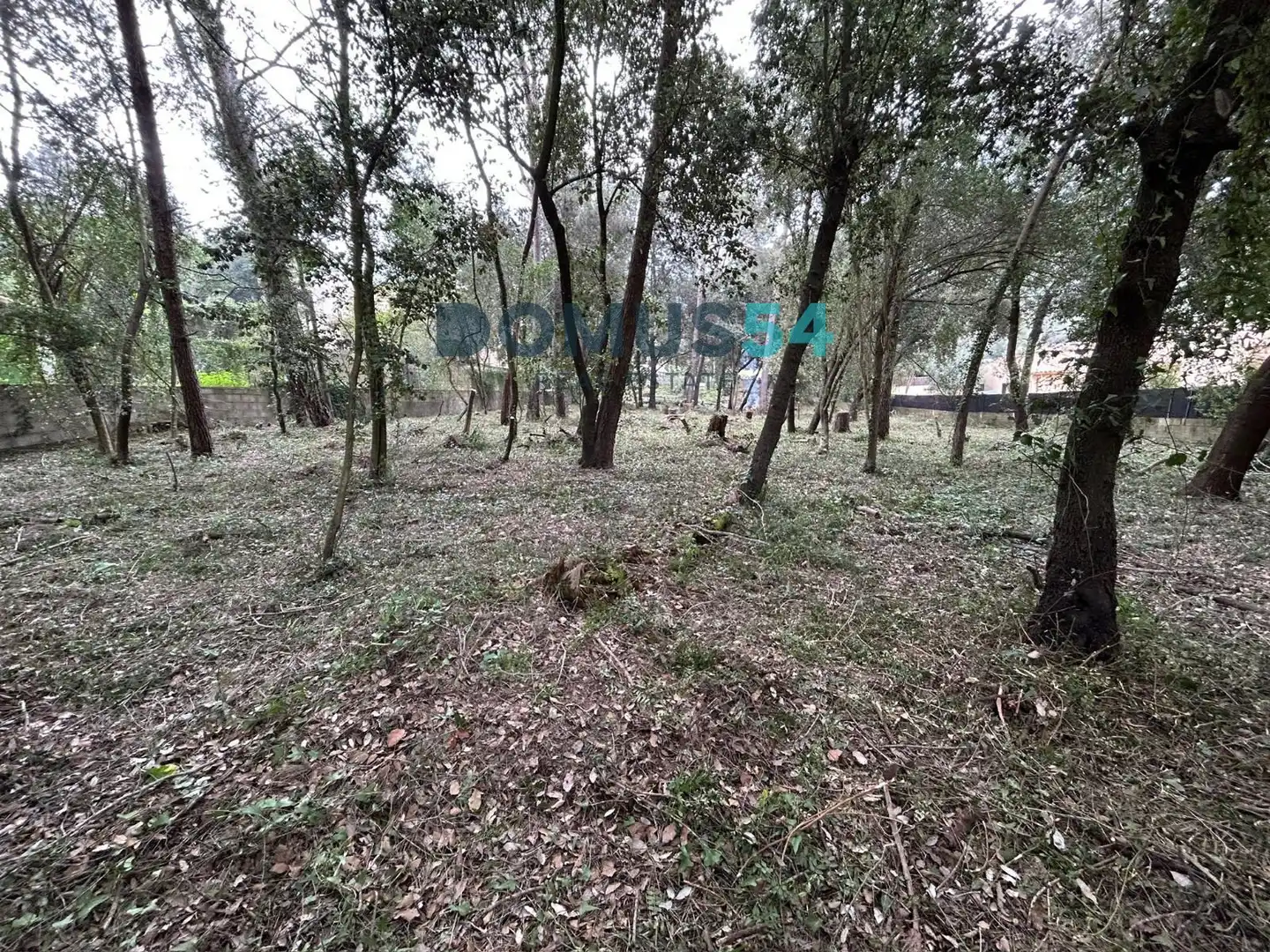 Rural land for sale in Sa Pobla, imagen 10