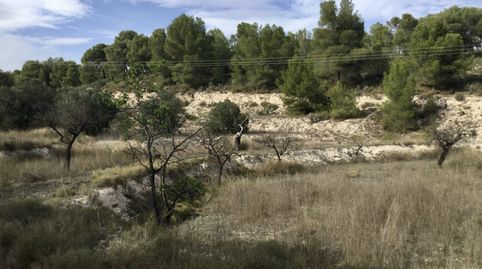 Parcela en venta en Tibi, Alicante, imatge 3