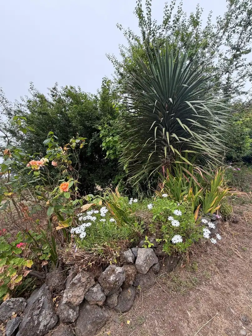 Terreno rustico in vendita a El Bebedero - Pinolere - Aguamansa, imagen 60