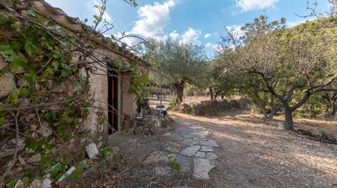 Foto 3 de Finca rústica en venda a Carrer de la Diputacio, 2, Paüls, Tarragona