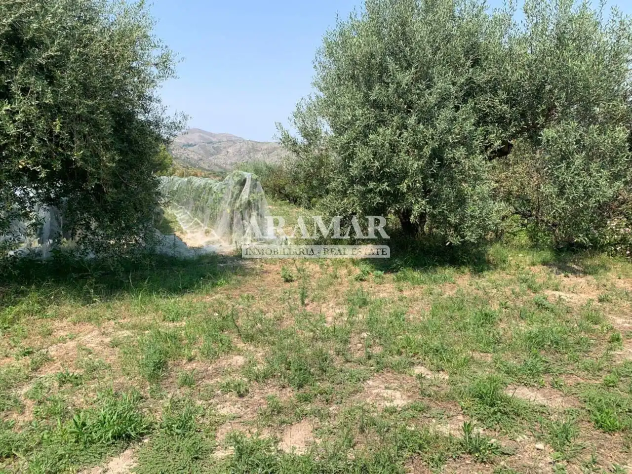 Chalet con piscina en venta en Pego, imagen 9