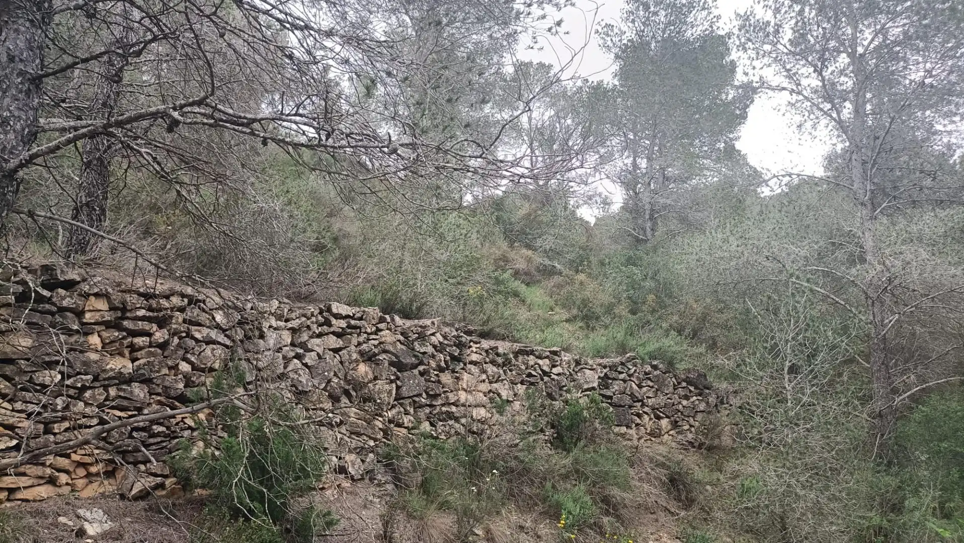 Terreno rustico in vendita a Móra d'Ebre, imagen 5