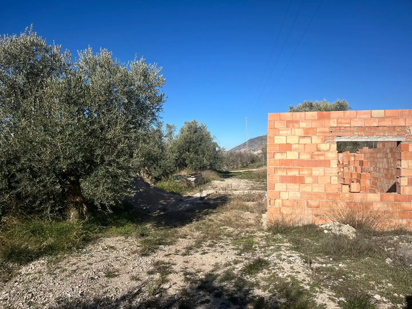 Rural land for sale in Calle Jose Saramago, imagen 10