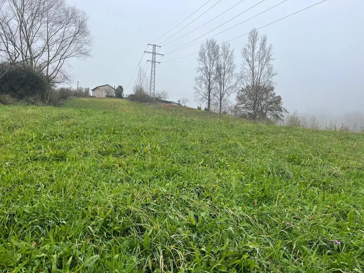 Residential land for sale in Polígono 11 Parcela 301 MATA LA FAME. LANGREO (AS 11, imagen 11