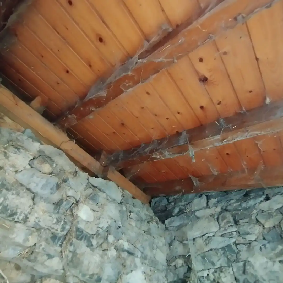 Casa o chalet en venta en N/A, Lena