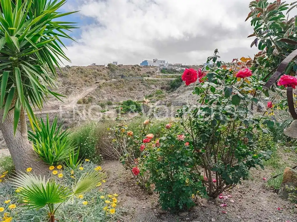 Maison à vendre à Arico, imagen 11