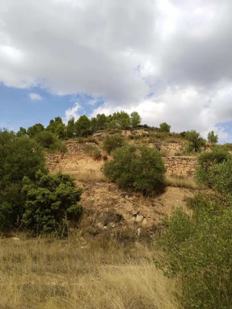Terreno rustico in vendita a Carrer Onze de Setembre 21, imagen 8
