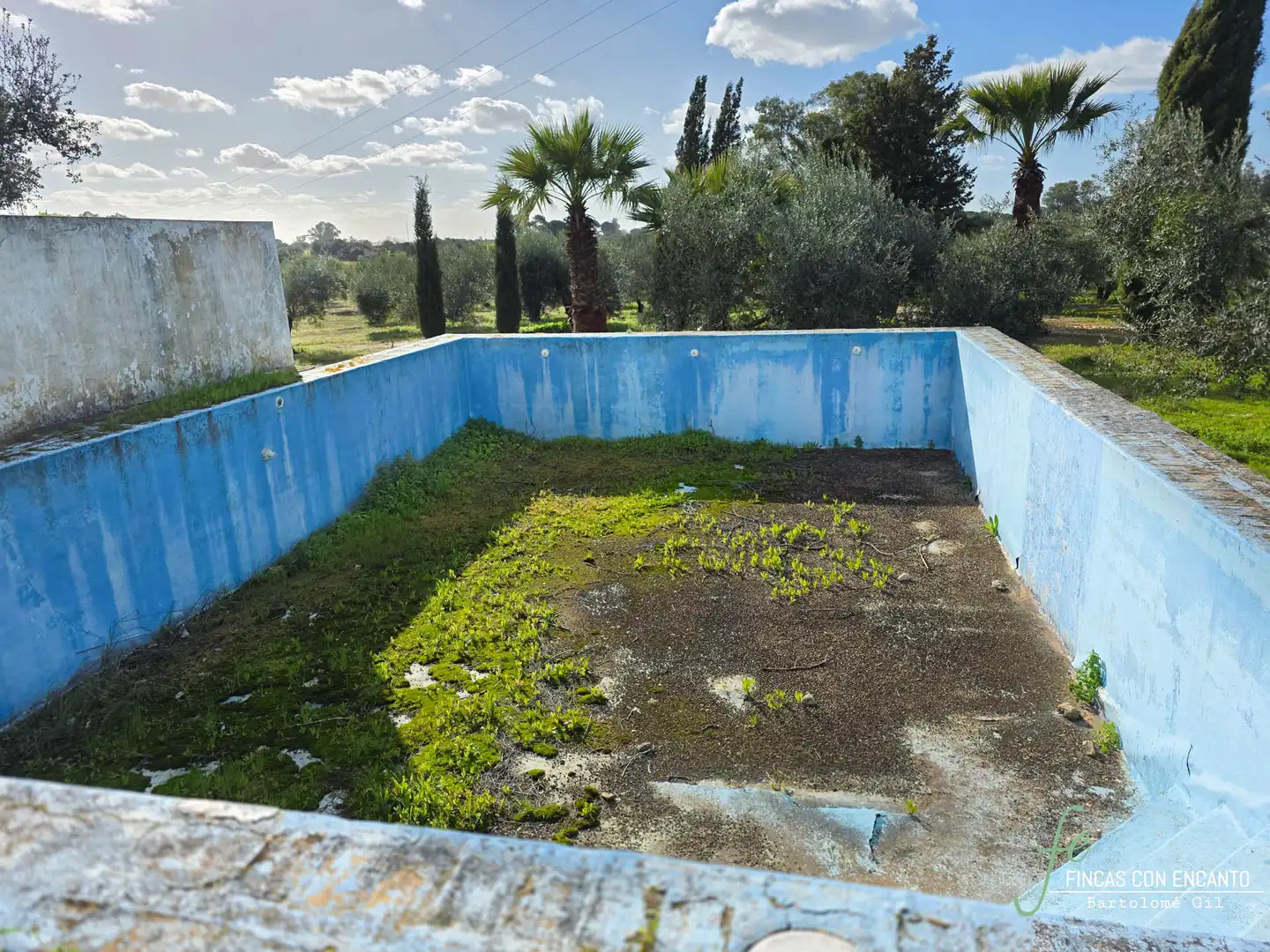 Swimming pool of Country homes for sale in Marchena  with Swimming Pool and Alarm