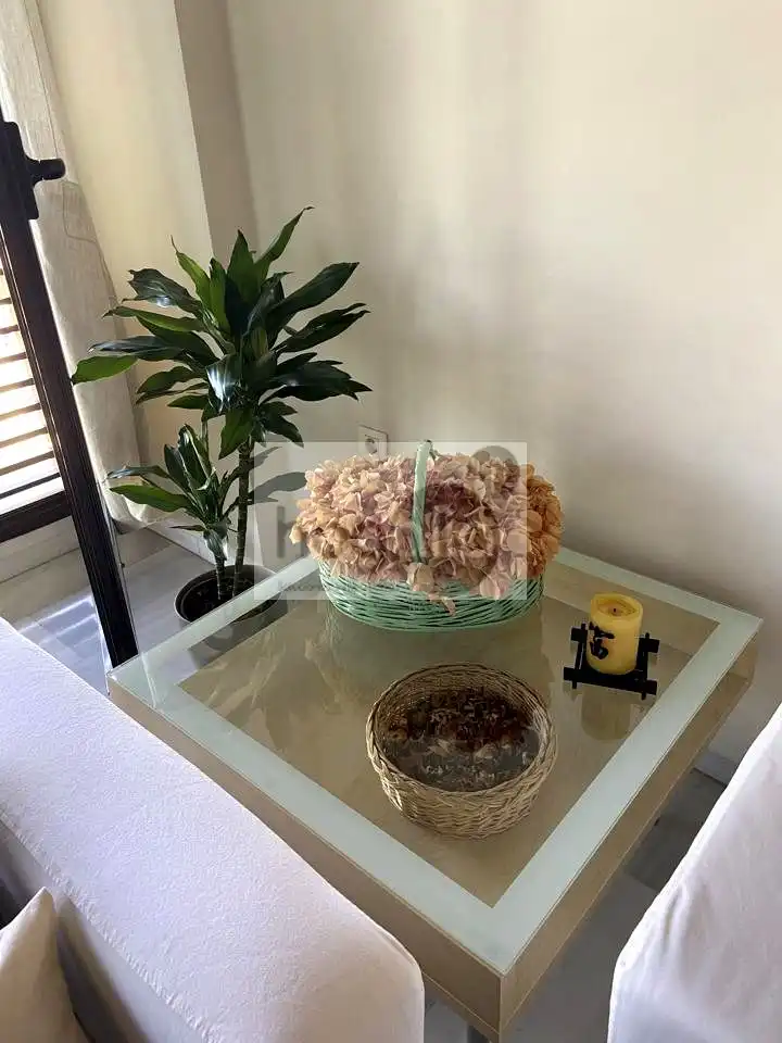 Garden of Flat for rent in Sevilla  with Air Conditioner, Terrace and Furnished