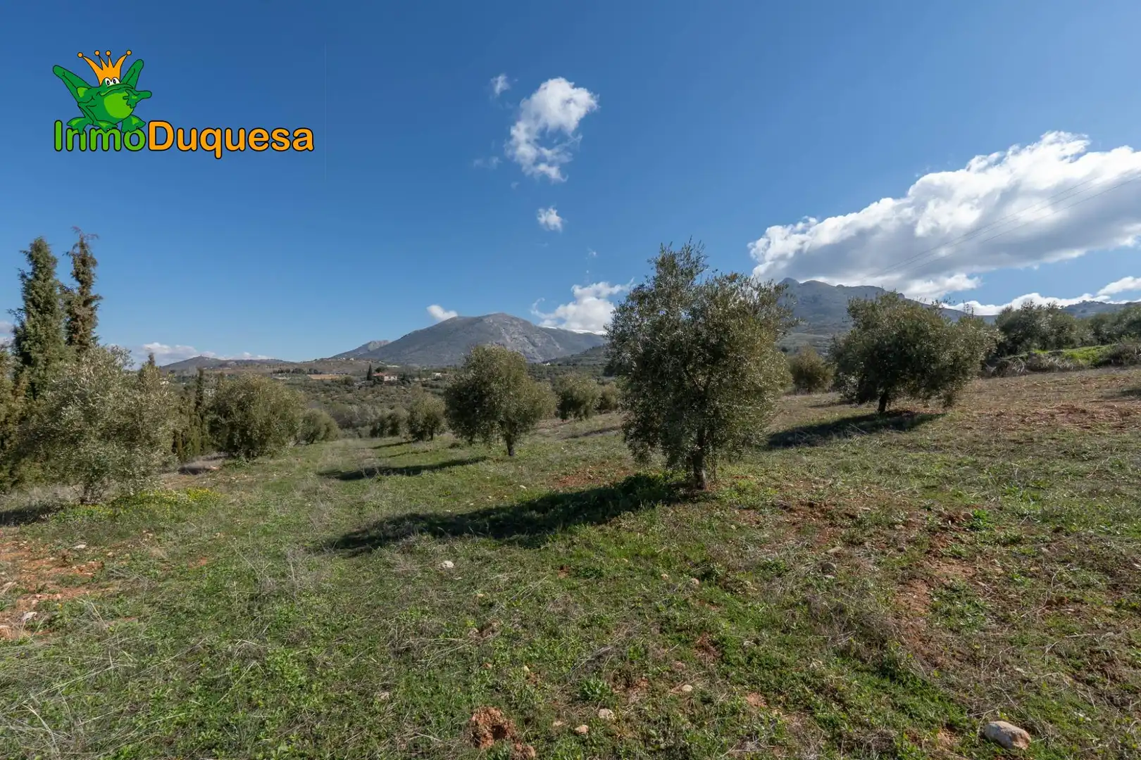 Casa rústica en venda a Cogollos de la Vega, imagen 5