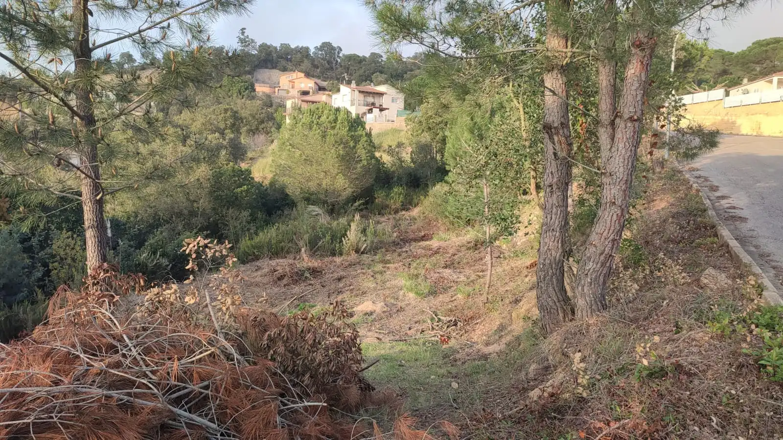 Terreny residencial en venda a Avinguda de la Senyera, imagen 4