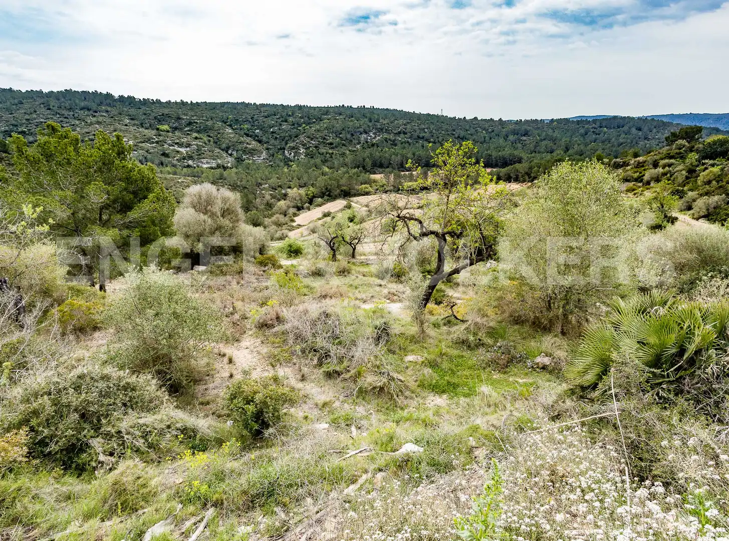 Casa o xalet en venda en Castellet i la Gornal amb Aire condicionat, Calefacció i Jardí privat