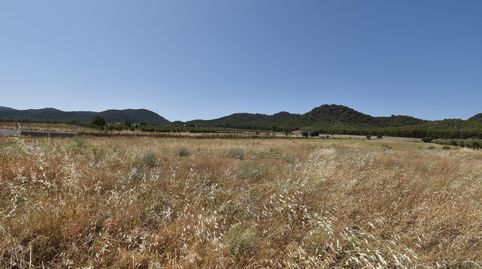 Finca de 27.715 metros a escasos metros del Cajiz de San Gregorio, immagine 3