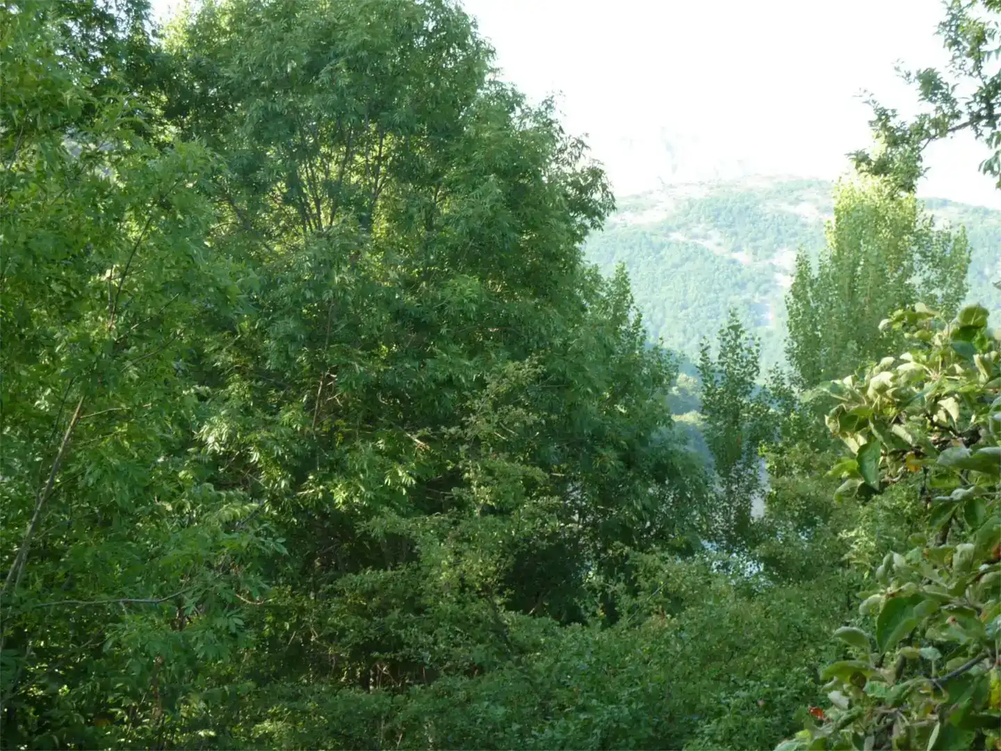 Pis en venda en Velilla del Río Carrión  amb Jardí privat, Parquet i Traster