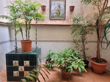 Casa con balcón en venta en Carrer del Magatzem