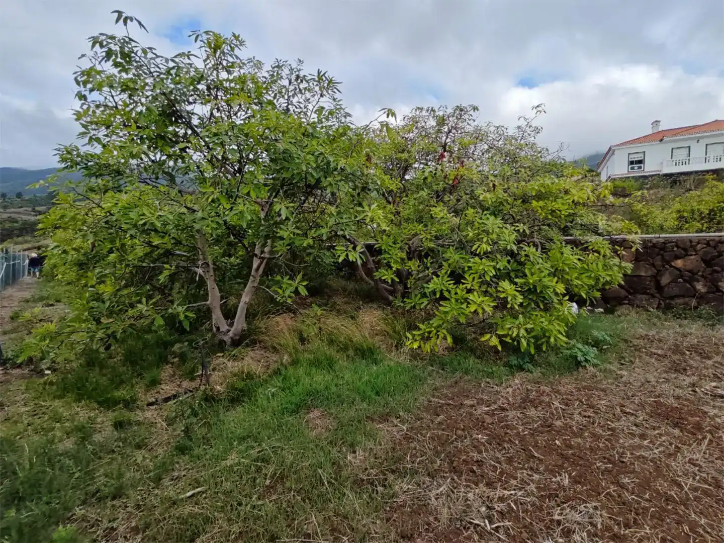 Casa o chalet en venta en Breña Alta con Jardín privado, Trastero y Amueblado