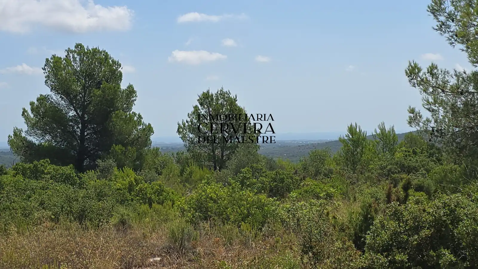 Rural land for sale in Cervera del Maestre, imagen 27