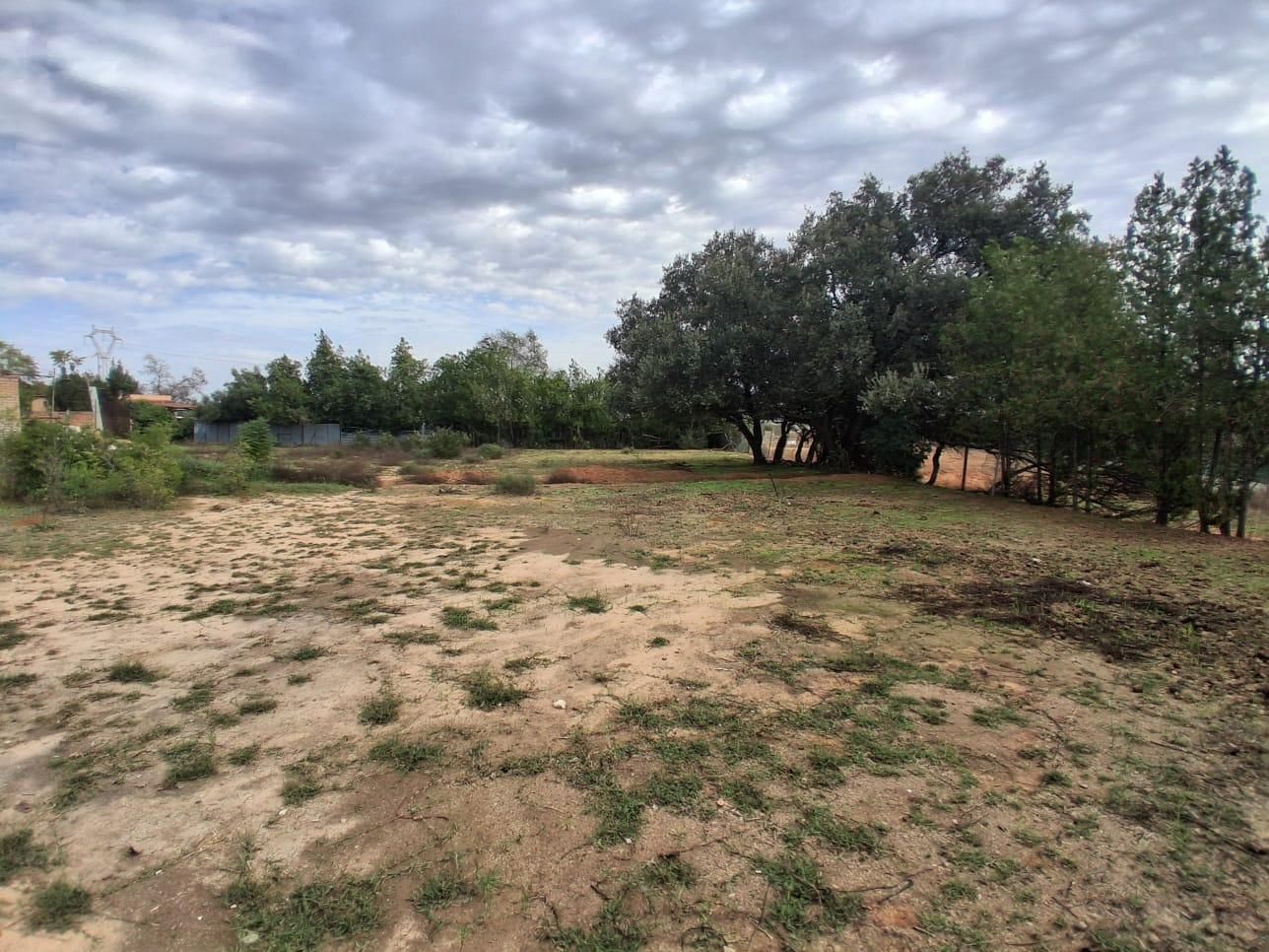 Residential for sale in Almensilla