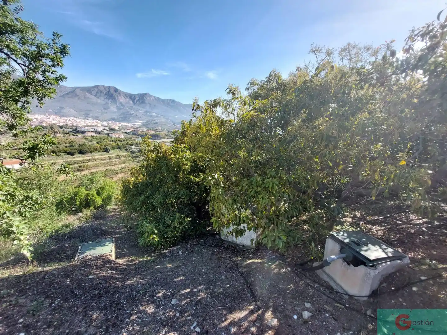 Casa rústica en venta en Molvízar, imagen 13