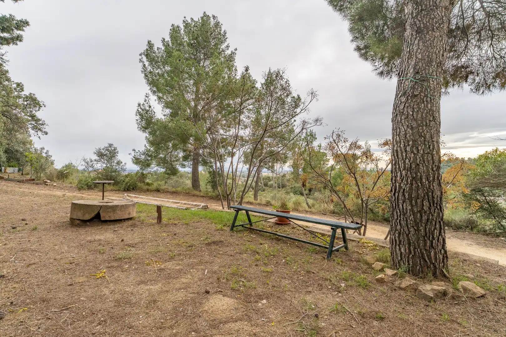 Jardí de Finca rústica en venda en Les Borges del Camp amb Jardí privat, Terrassa i Traster