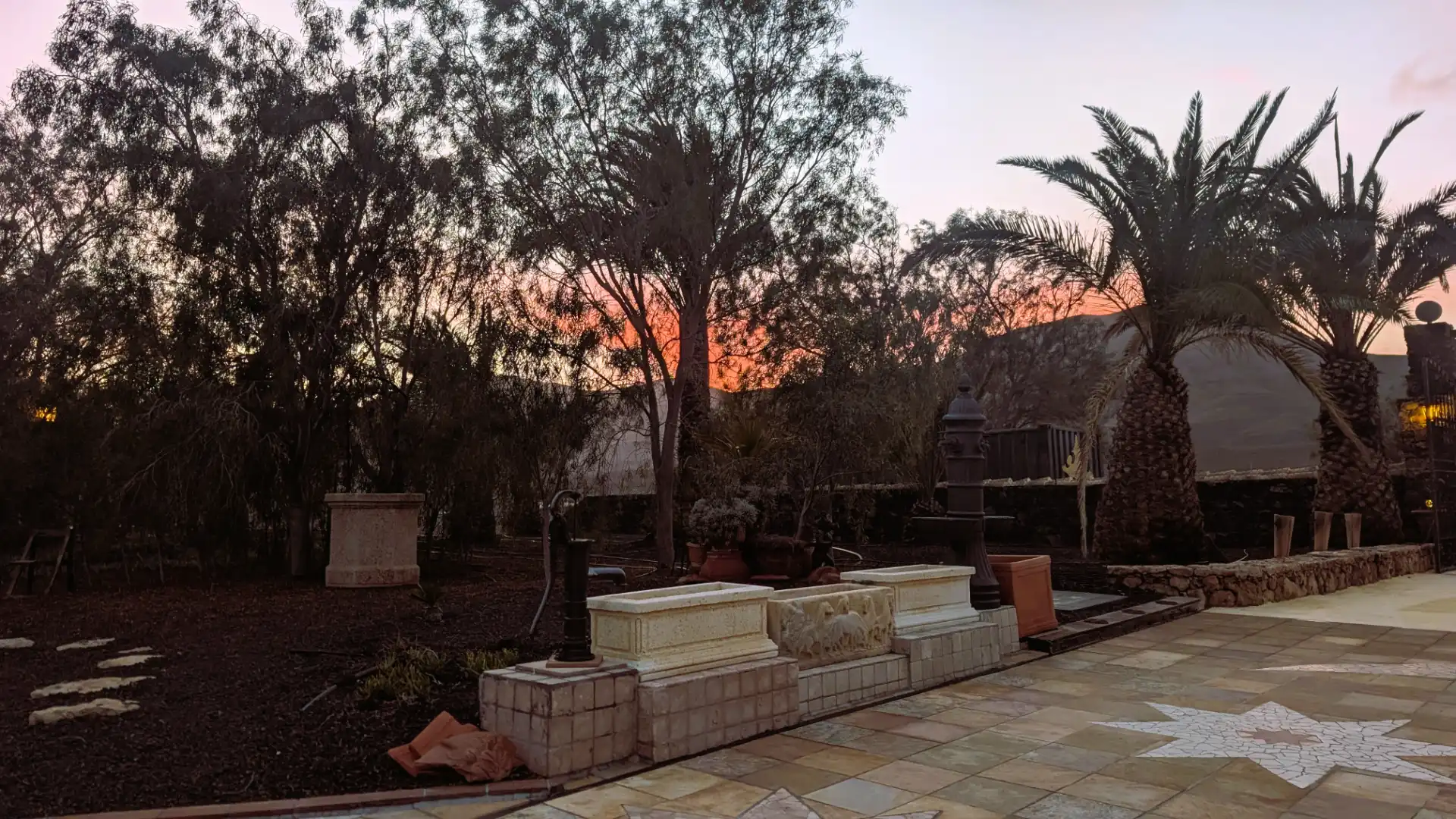 Jardí de Casa o xalet en venda en Pájara amb Jardí privat, Terrassa i Piscina