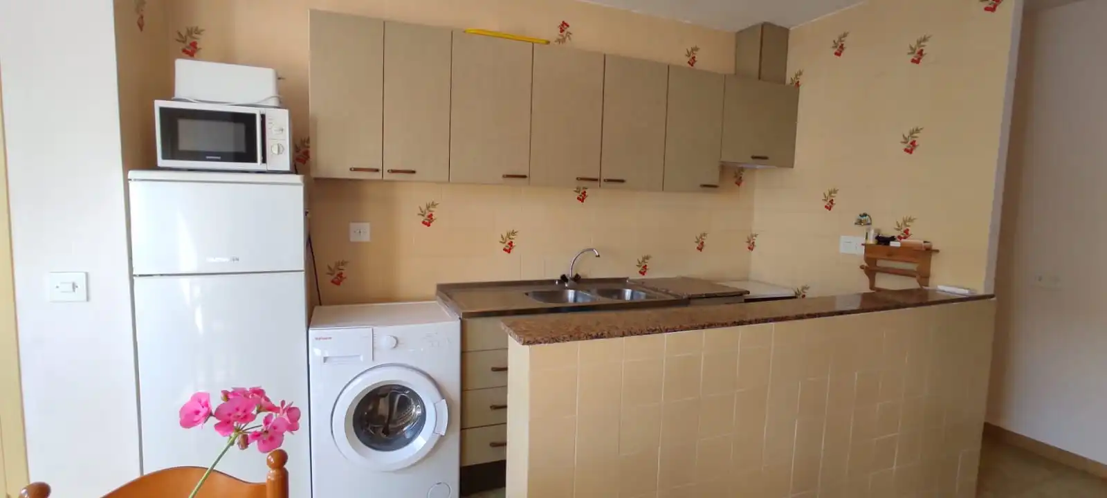 Apartament en venda a Avinguda Catalunya, El Maset