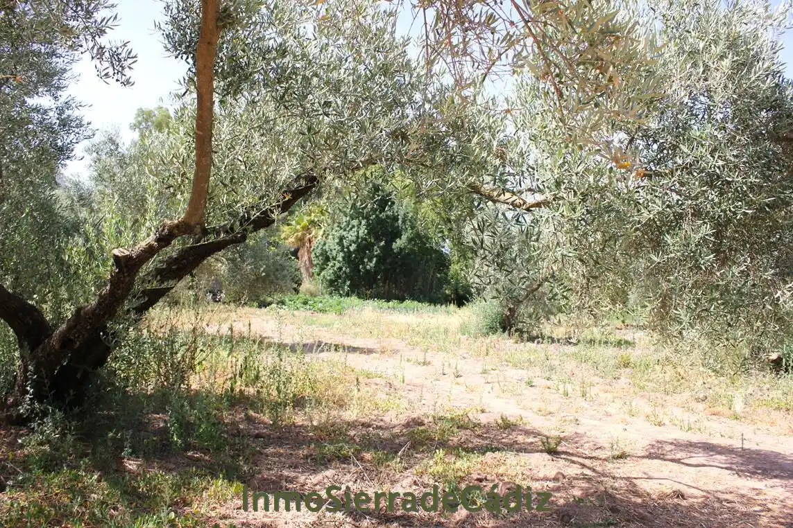 Casa rústica en venda a Algodonales, imagen 12