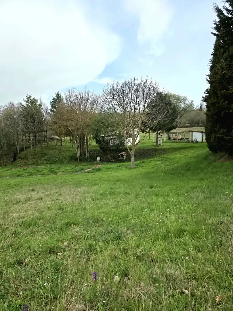 Casa o xalet en venda en Pomar de Valdivia amb Calefacció, Jardí privat i Terrassa