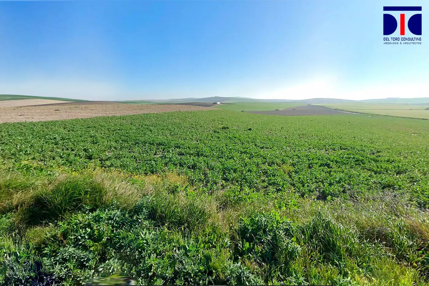 Terrenys i solars en venda a Jerez norte - Montealto - Pozoalbero, imagen 4