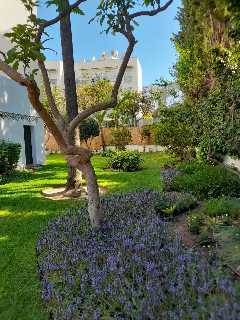 Garden of Study for sale in Torremolinos  with Air Conditioner and Community pool