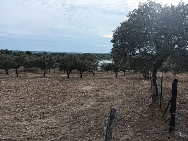 Terreno rustico in vendita a Calle Dehesa 9, imagen 5