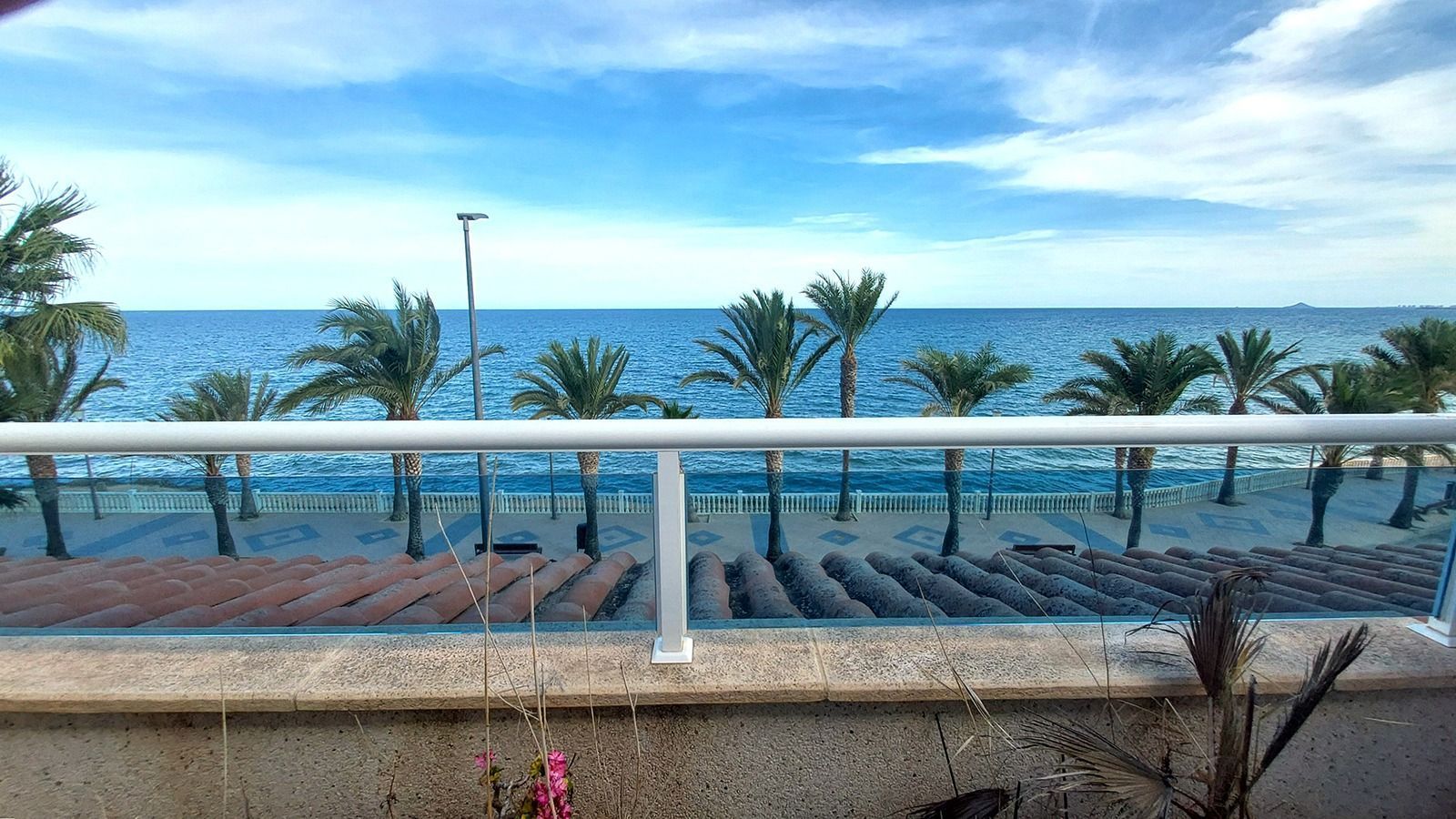 Exterior view of Single-family semi-detached for rent in Pilar de la Horadada  with Private garden, Terrace and Furnished