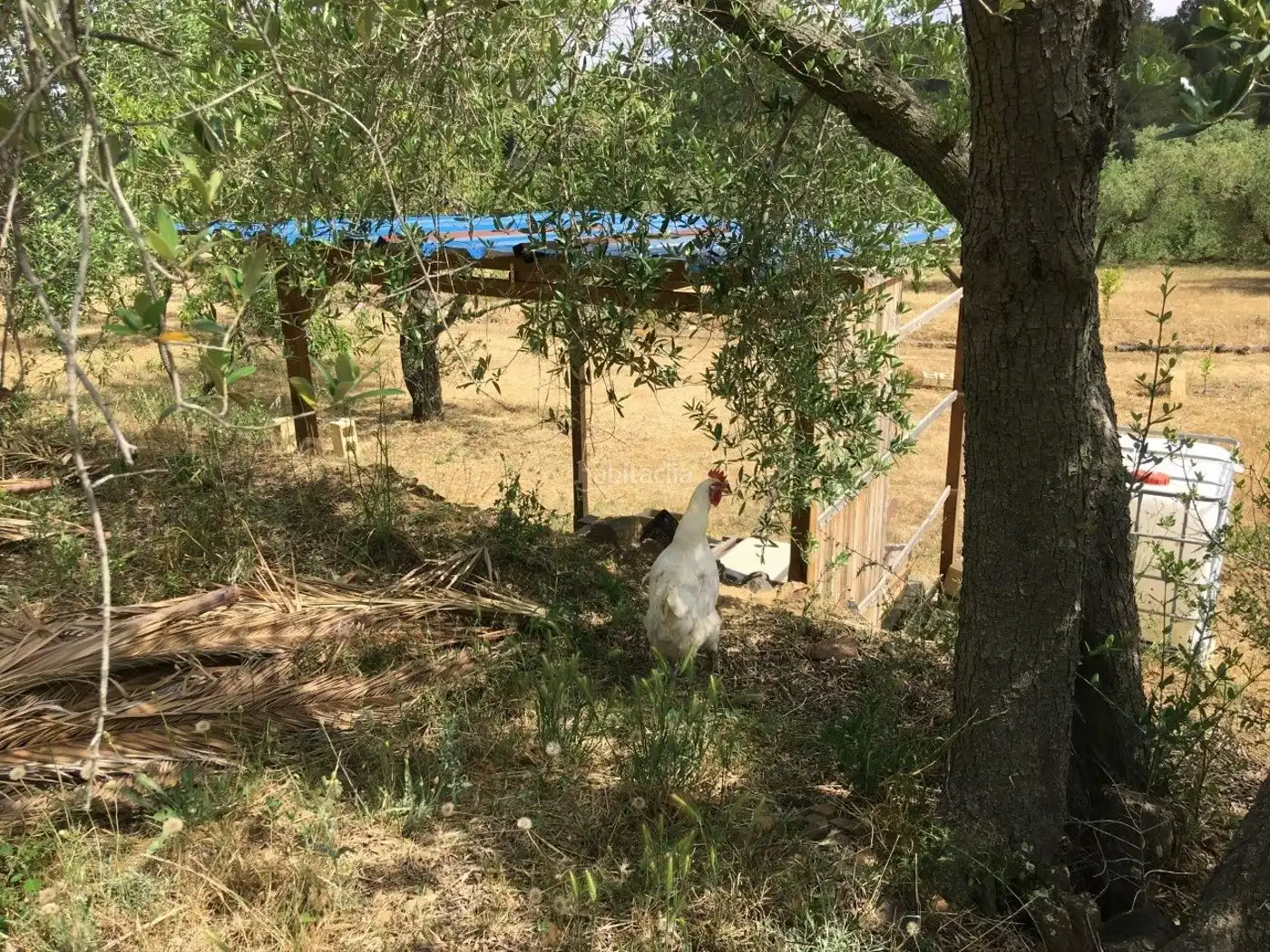 Terreno rustico in vendita a Vial Camino 131, imagen 5