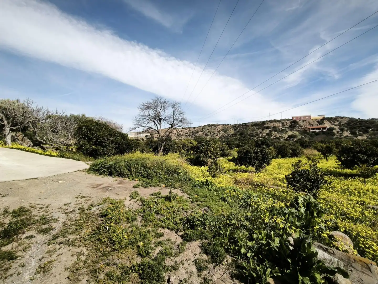 Lands and plots for sale in Gádor, imagen 22