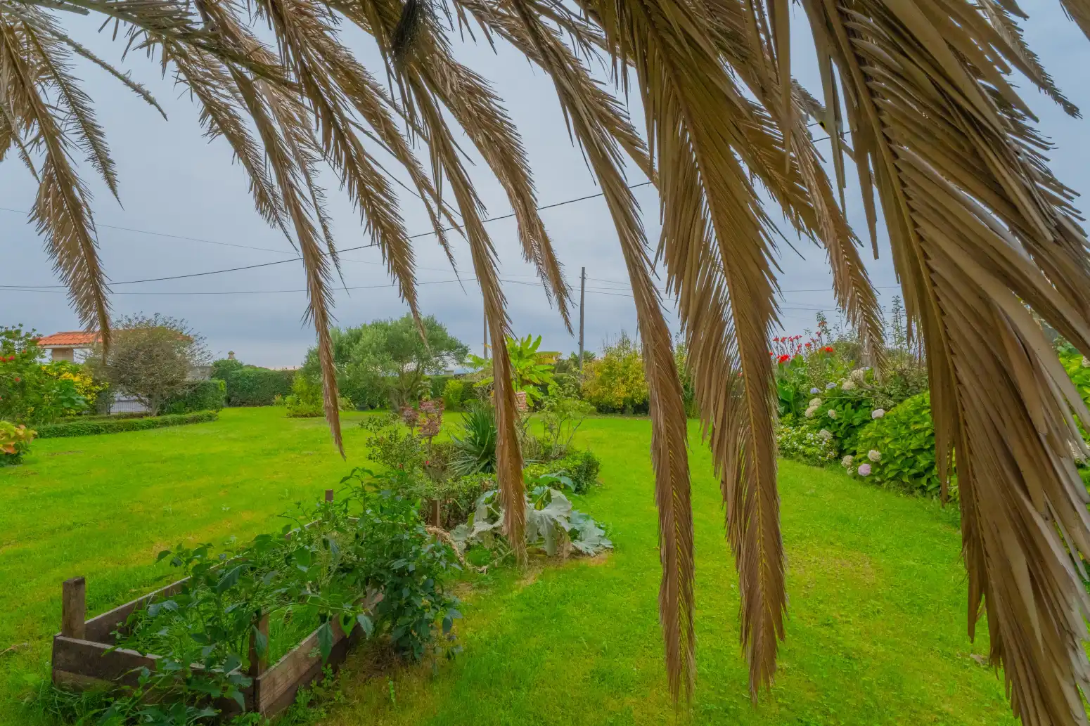 Garden of Houses for sale in Cueto