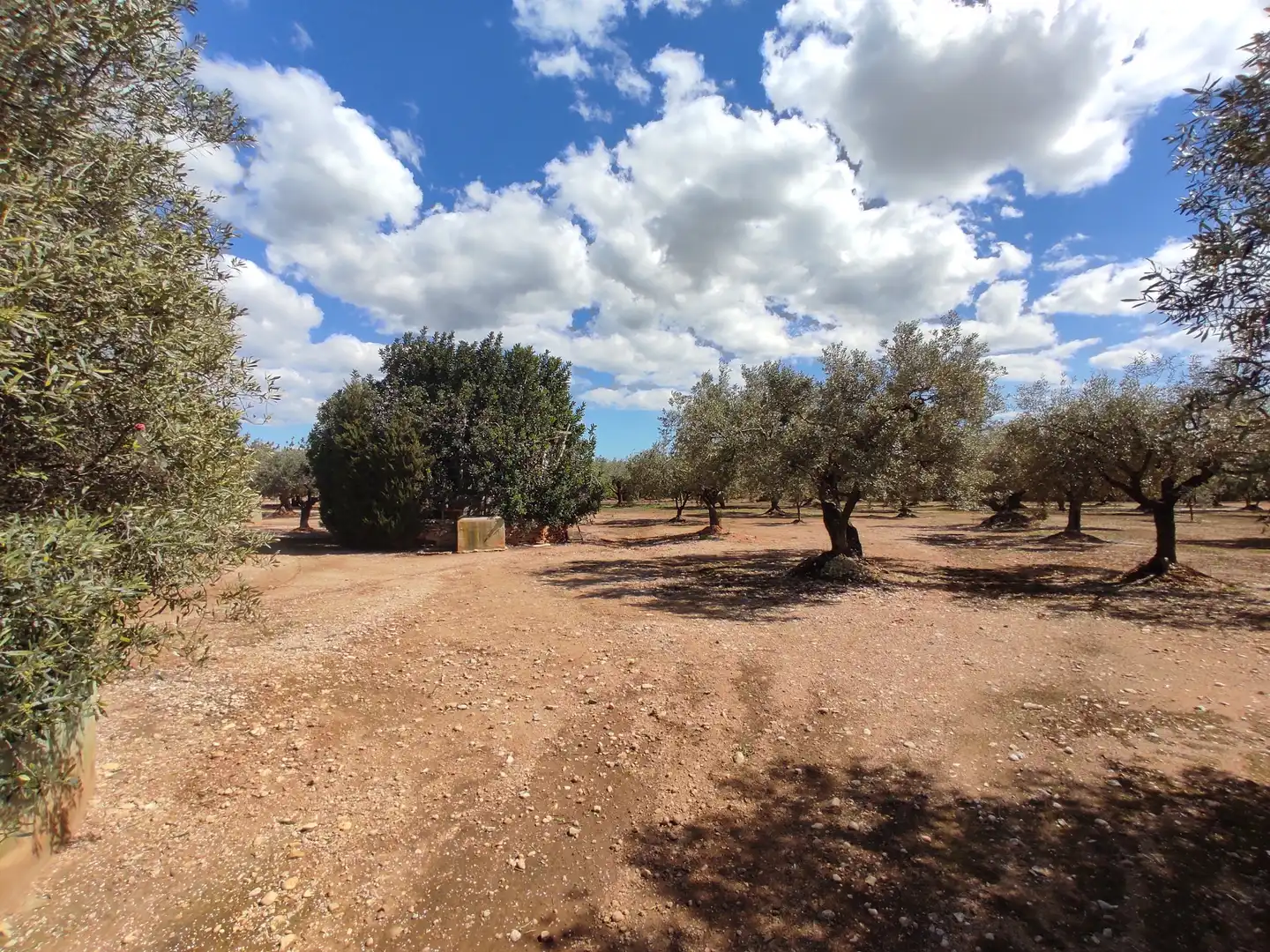 Terreno rustico in vendita a Traiguera, imagen 13