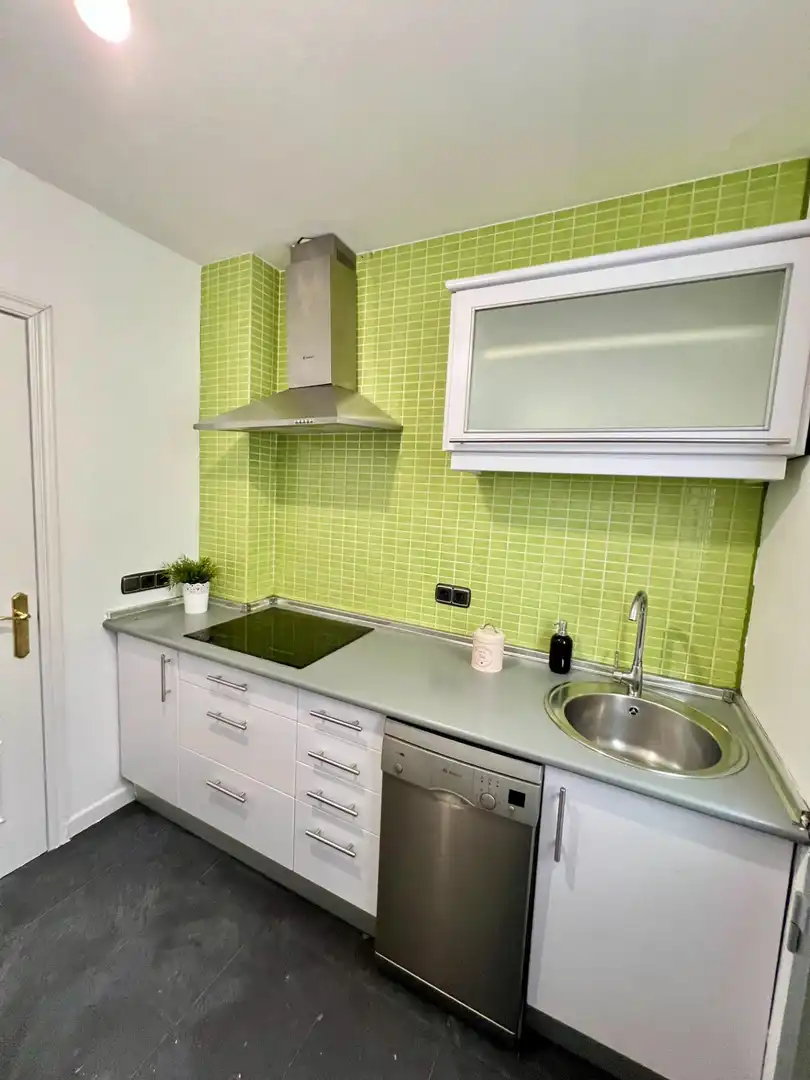 Cuina de Apartament de lloguer en Madrid amb Aire condicionat i Calefacció