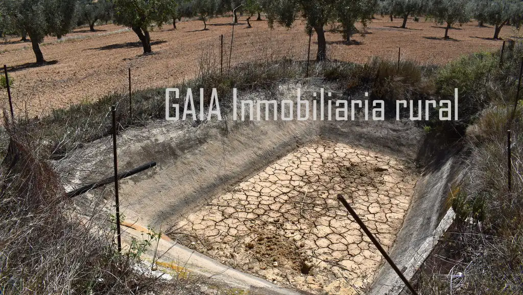 Finca rústica en venta en Mazaleón