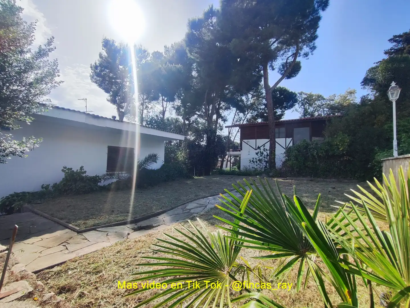 Detached house with terrace for sale in Carrer Regasol, imagen 13