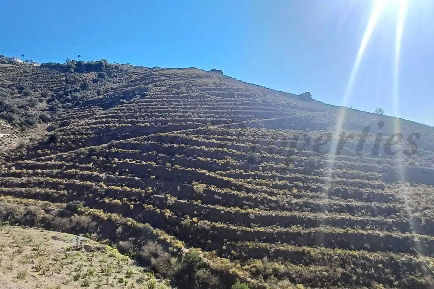 Terreno rustico in vendita a El Morche