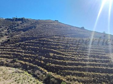 Terreno rustico in vendita a El Morche